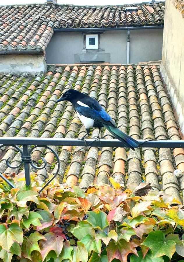 Maison De Maitre A Bram # Jacuzzi ภายนอก รูปภาพ
